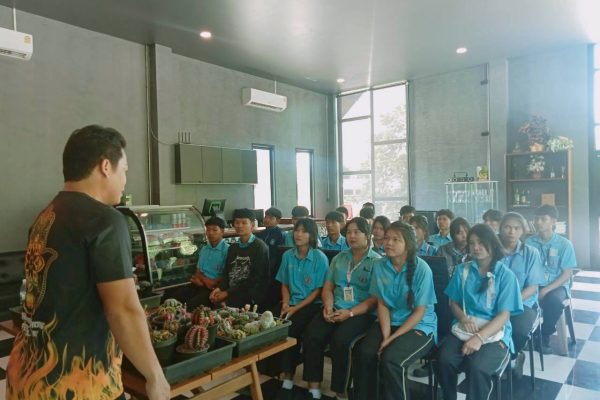 ศึกษาดูงานการปลูกแคคตัส
